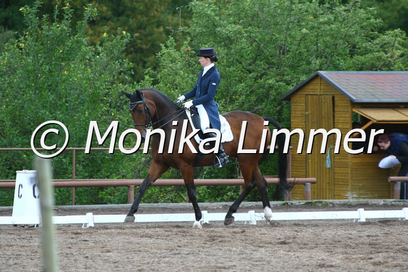 109M1640_Syriolan_Dressur S_St. Georg.JPG